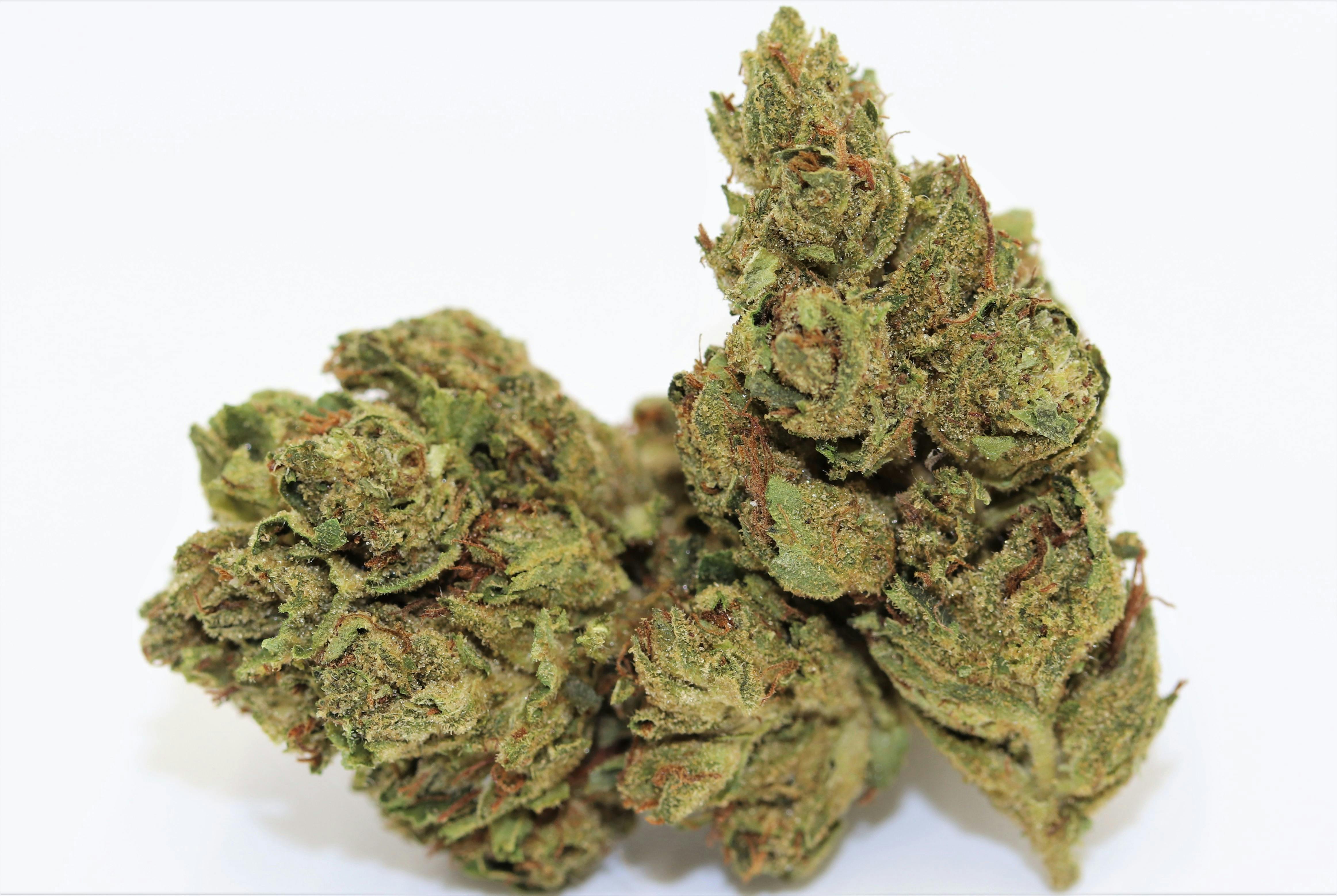 THCa White Bag Special - Half Oz